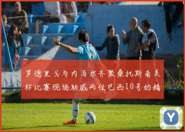 罗德里戈与内马尔齐聚桑托斯南美杯比赛现场助威两位巴西10号的精彩时刻