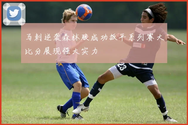 马刺逆袭森林狼成功扳平系列赛大比分展现强大实力
